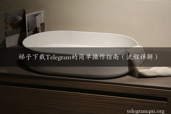 梯子下载Telegram的简单操作指南（流程详解）