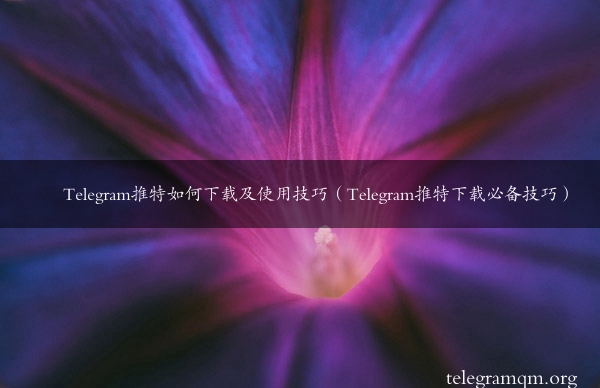 Telegram推特如何下载及使用技巧（Telegram推特下载必备技巧）