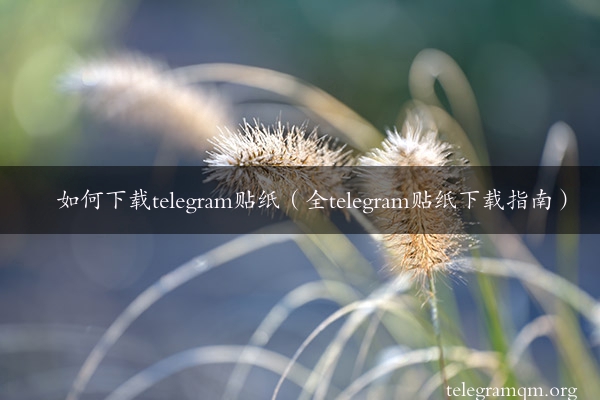 如何下载telegram贴纸（全telegram贴纸下载指南）