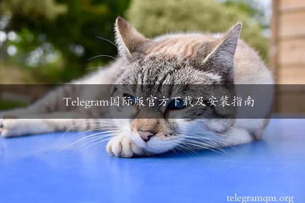 Telegram国际版官方下载及安装指南