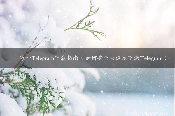 海外Telegram下载指南（如何安全快速地下载Telegram）