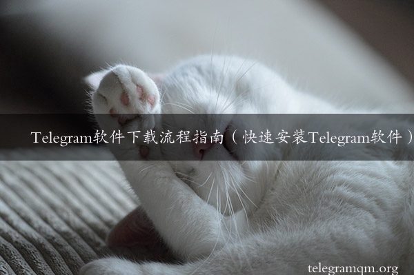 Telegram软件下载流程指南（快速安装Telegram软件）