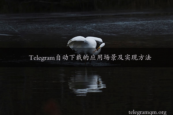 Telegram自动下载的应用场景及实现方法