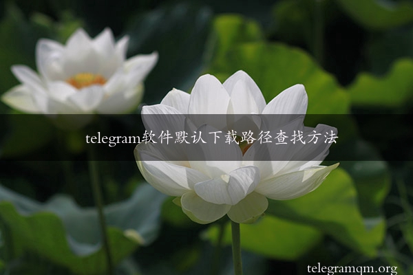 telegram软件默认下载路径查找方法