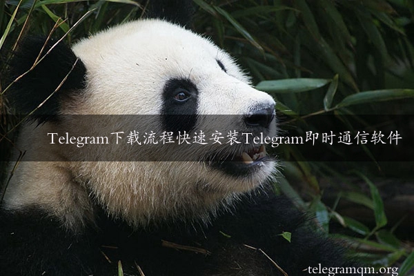 Telegram下载流程快速安装Telegram即时通信软件