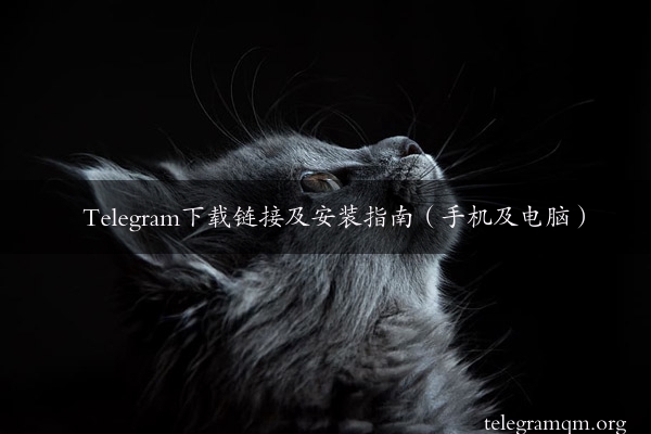 Telegram下载链接及安装指南（手机及电脑）