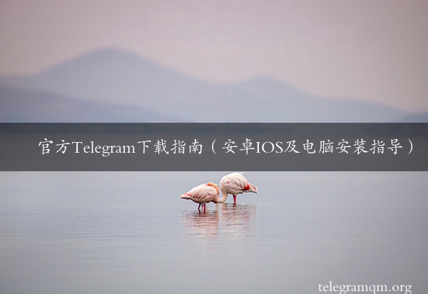 官方Telegram下载指南（安卓IOS及电脑安装指导）