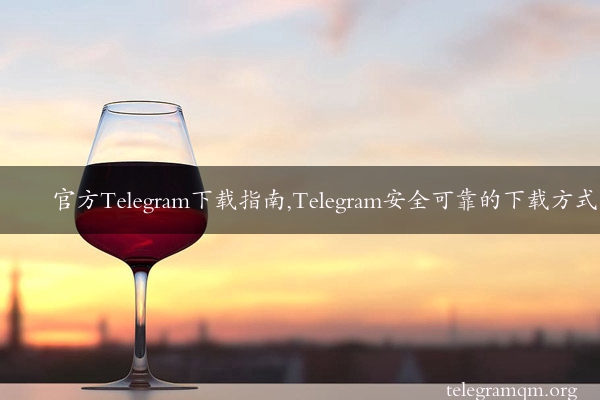 官方Telegram下载指南,Telegram安全可靠的下载方式