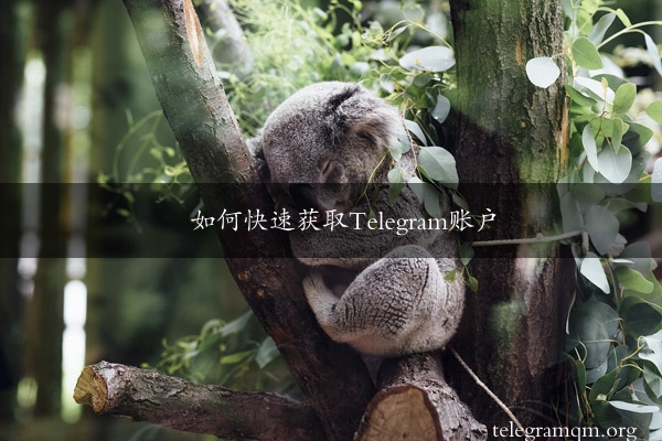 如何快速获取Telegram账户