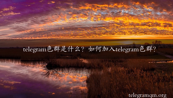 telegram色群是什么？如何加入telegram色群？