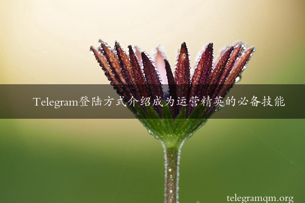 Telegram登陆方式介绍成为运营精英的必备技能