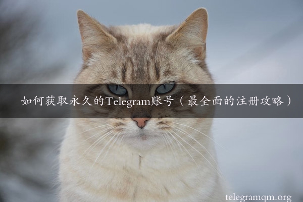 如何获取永久的Telegram账号（最全面的注册攻略）