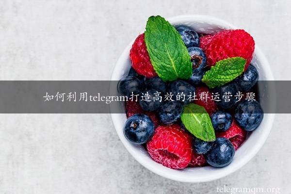 如何利用telegram打造高效的社群运营步骤