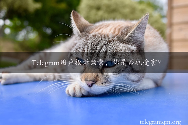 Telegram用户投诉频繁，你是否也受害？