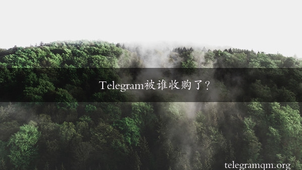 Telegram被谁收购了？