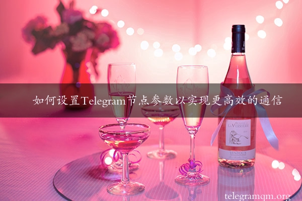 如何设置Telegram节点参数以实现更高效的通信