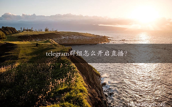 telegram群组怎么开启直播？