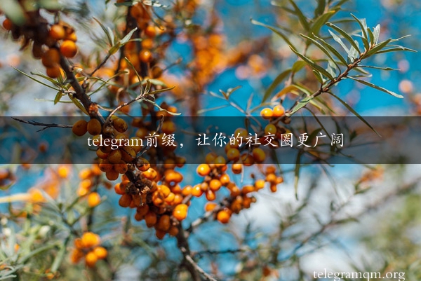 telegram前缀，让你的社交圈更广阔