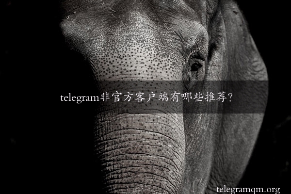 telegram非官方客户端有哪些推荐？