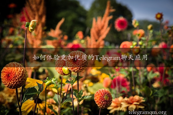 如何体验更加优质的Telegram聊天应用