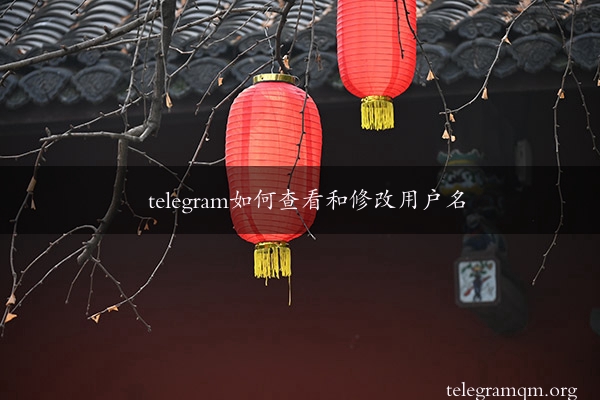 telegram如何查看和修改用户名