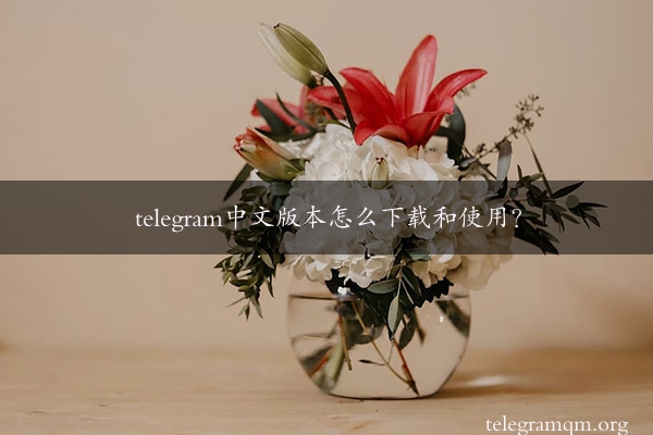 telegram中文版本怎么下载和使用？