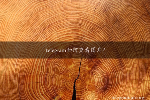 telegram如何查看图片？