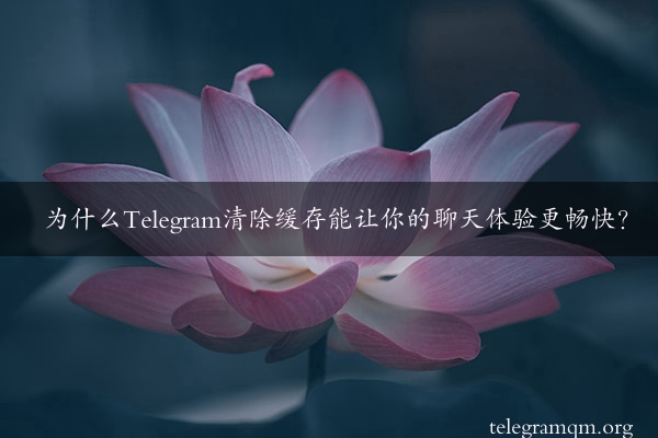 为什么Telegram清除缓存能让你的聊天体验更畅快？