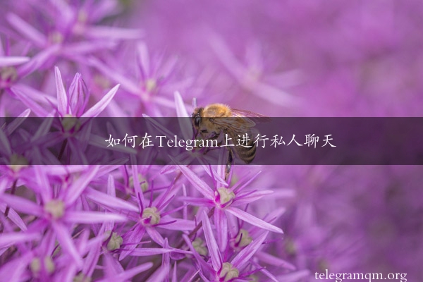 如何在Telegram上进行私人聊天