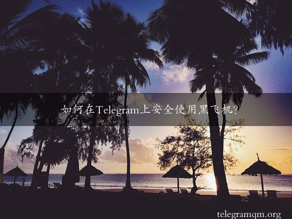 如何在Telegram上安全使用黑飞机？