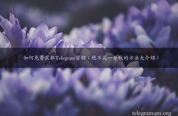 如何免费获取Telegram密钥（绝不花一分钱的方法大介绍）