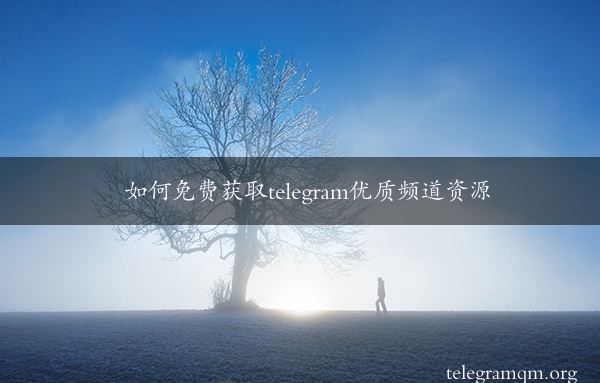 如何免费获取telegram优质频道资源