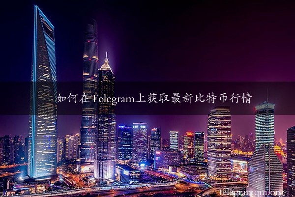 如何在Telegram上获取最新比特币行情