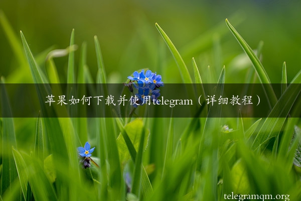 苹果如何下载并使用telegram（详细教程）