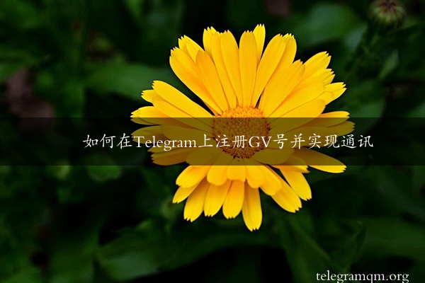 如何在Telegram上注册GV号并实现通讯